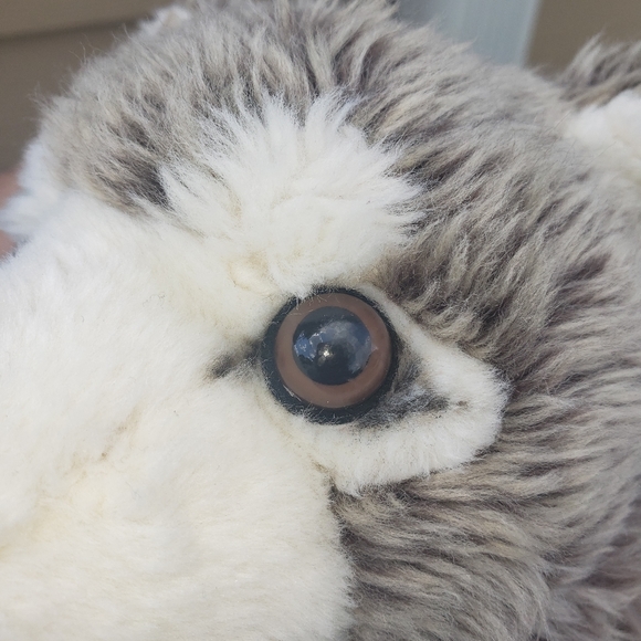 Build a Bear Timber WWF - Picture 6 of 7